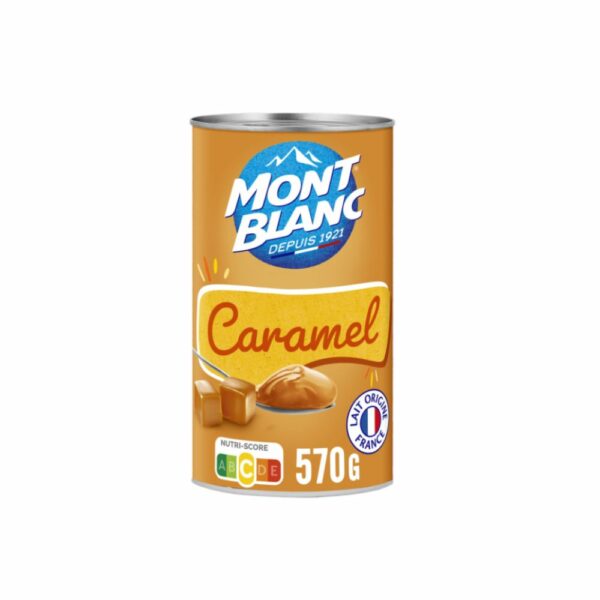 Crème dessert caramel MONT BLANC 570 g