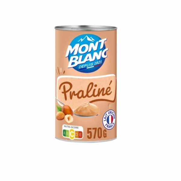 Crème dessert praliné MONT BLANC 570 g