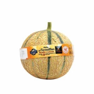 Melon de Cavaillon NOS RÉGIONS ONT DU TALENT