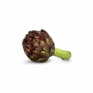 Artichaut violet, la pièce